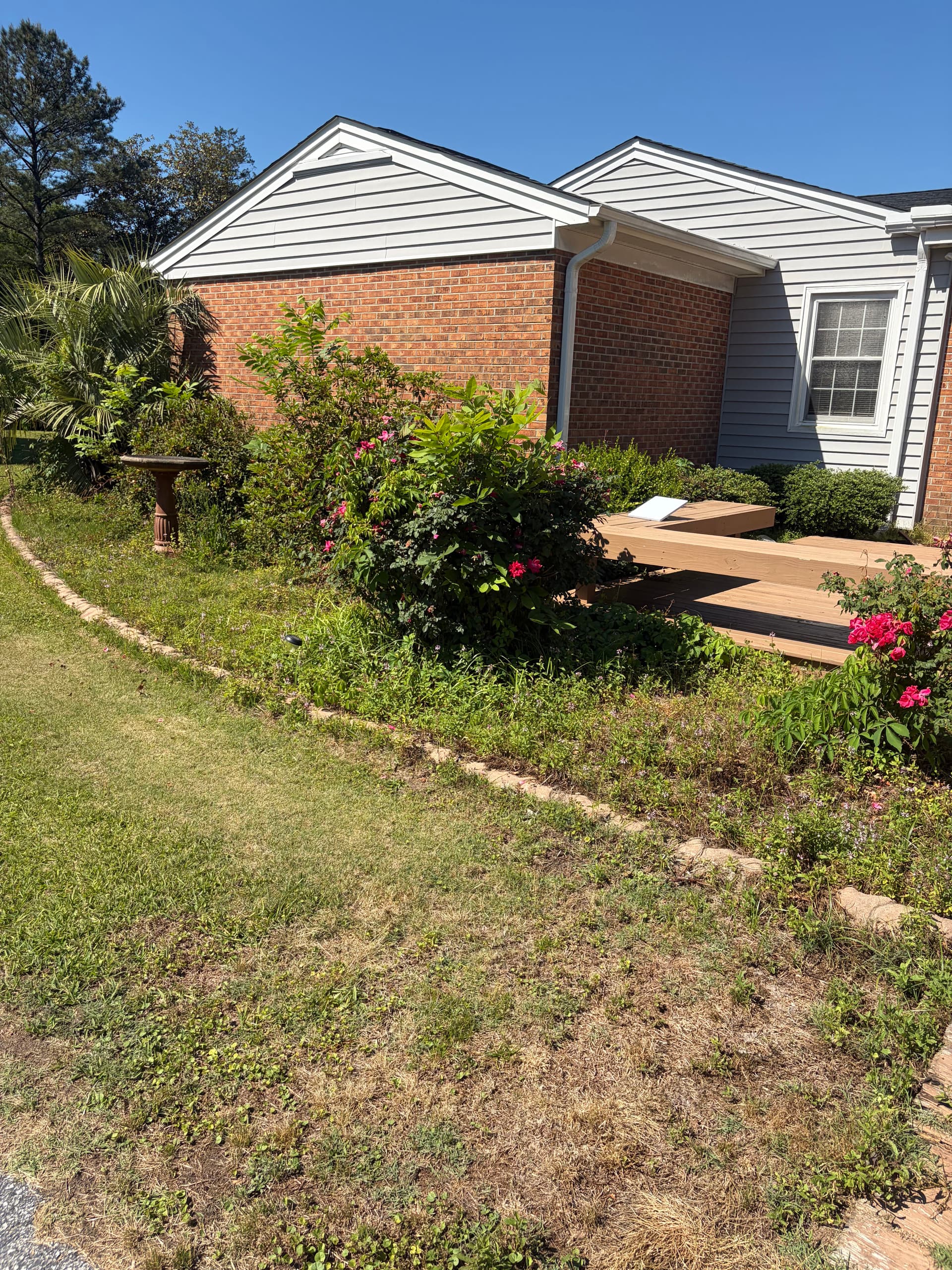 Gallery photos for Shrub Trimming and Fresh Pine Straw Cleanup in Castle Hayne: Image #5