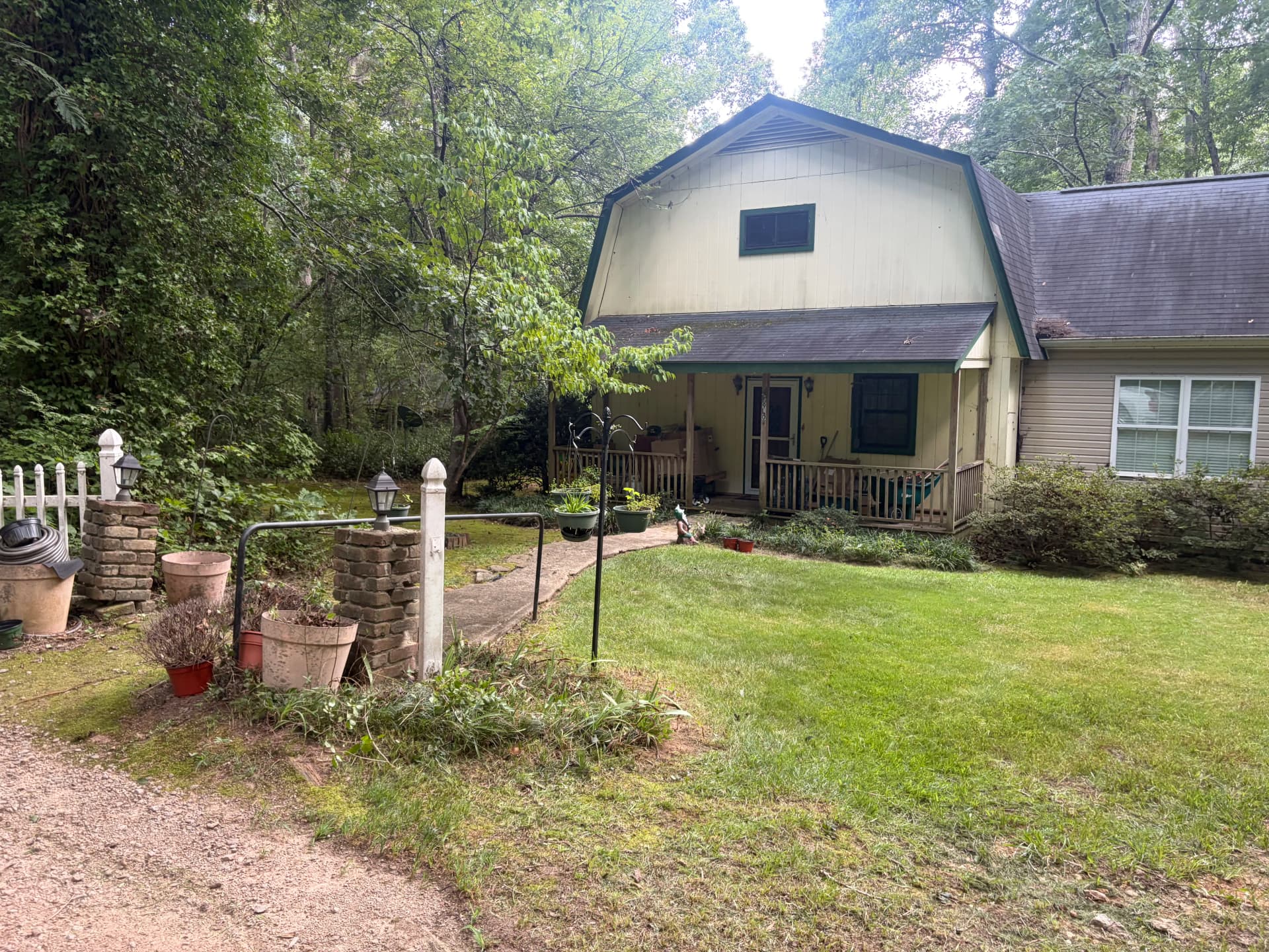 Wooded Property Cleanup Gets a Serious Fresh Start image
