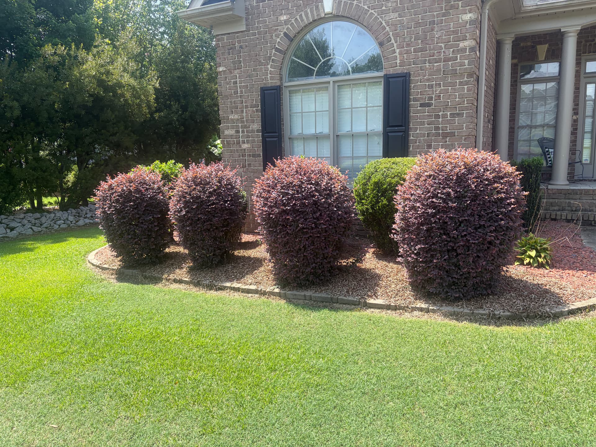 Gallery photos for Full Property Cleanup Front to Back on a Brick Home: Image #6