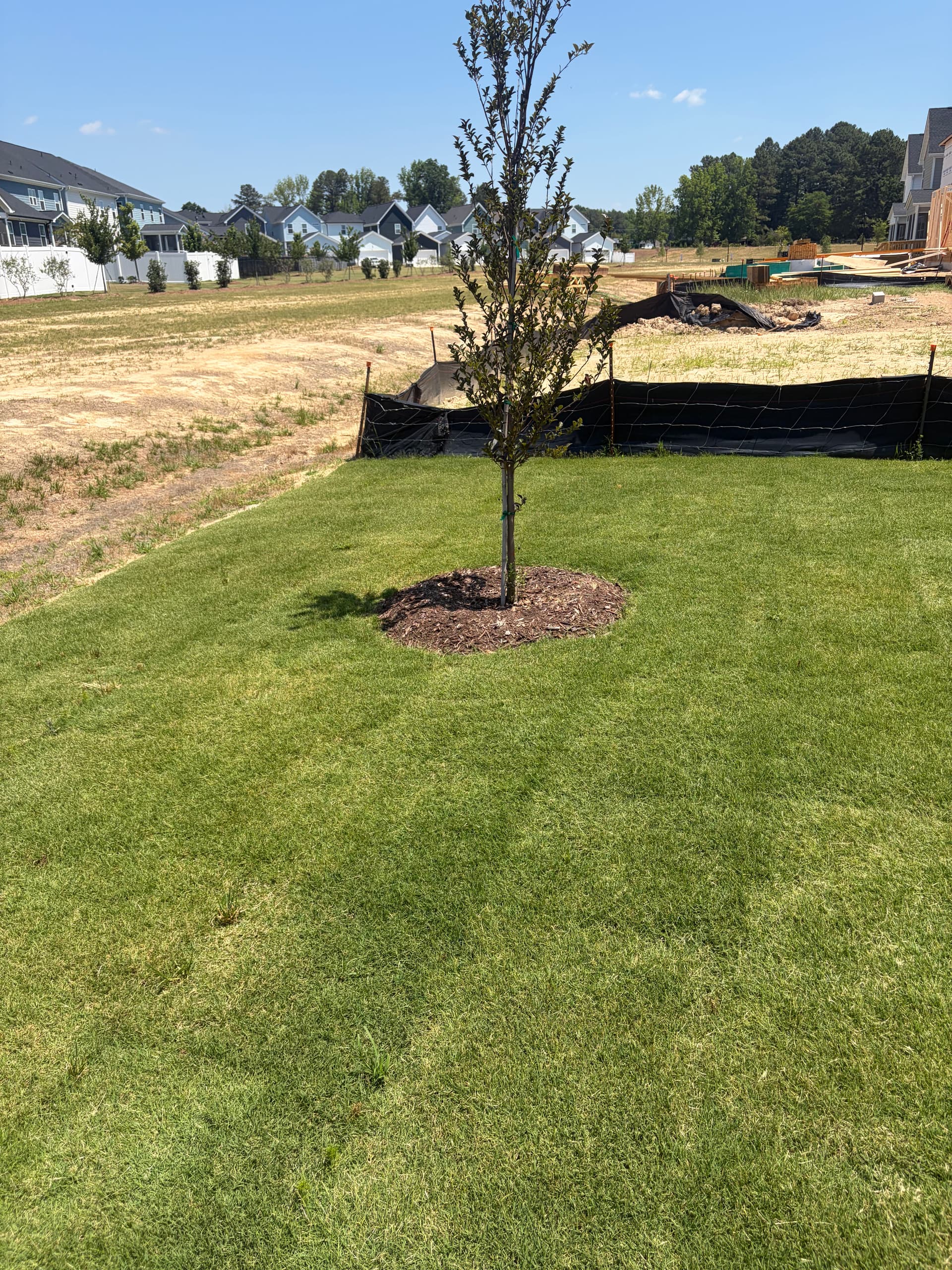 Gallery photos for Fresh Mulch and Brick Edging That Makes Beds Look Finished: Image #7