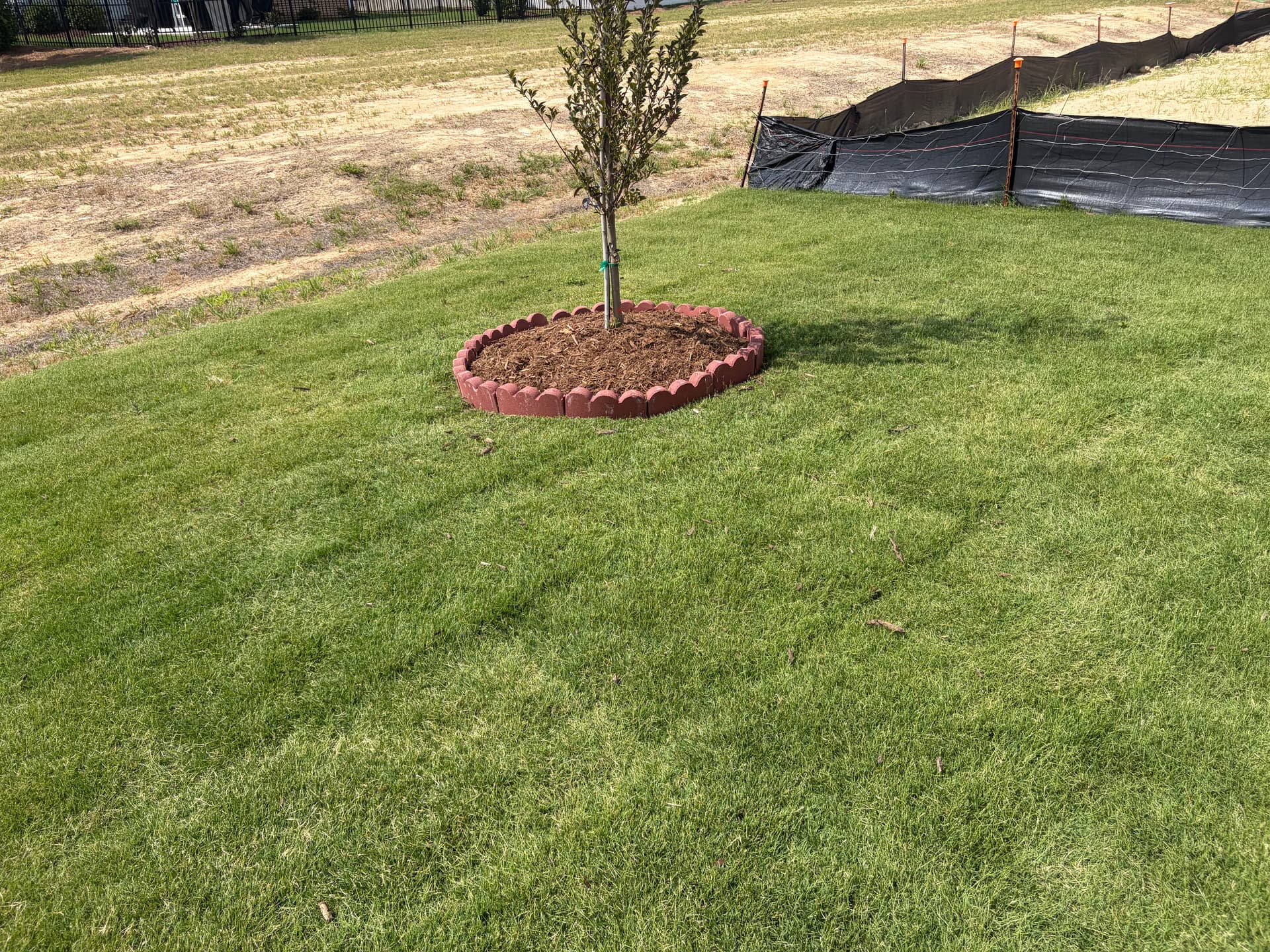 Gallery photos for Fresh Mulch and Brick Edging That Makes Beds Look Finished: Image #3