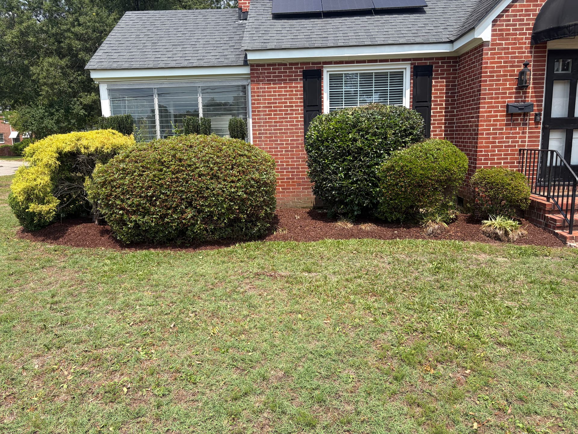 Gallery photos for Shrub Trimming and Fresh Mulch That Actually Make a Difference: Image #3