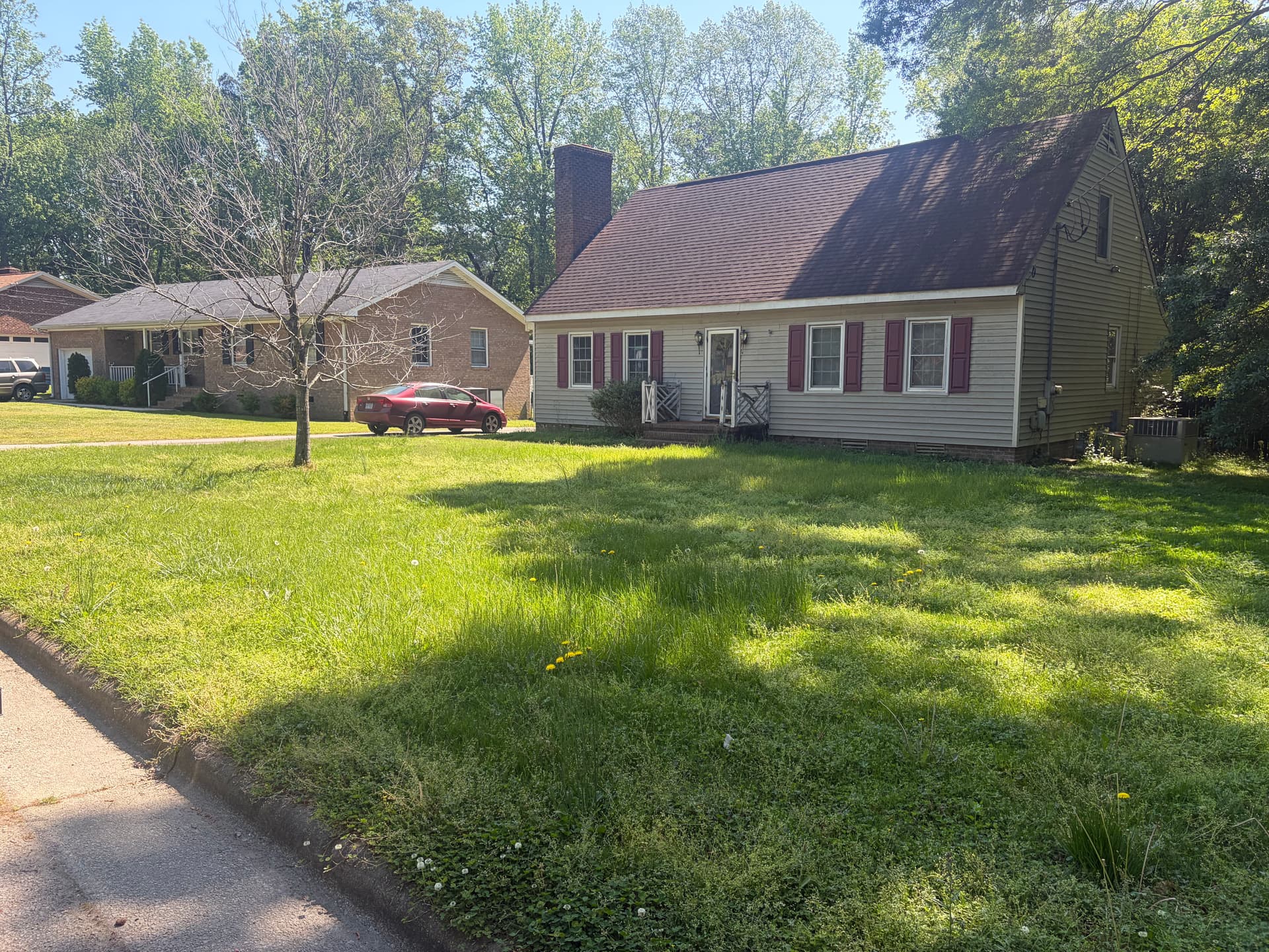 Gallery photos for Overgrown Wilson Yard Gets a Full Cleanup and Cut: Image #2