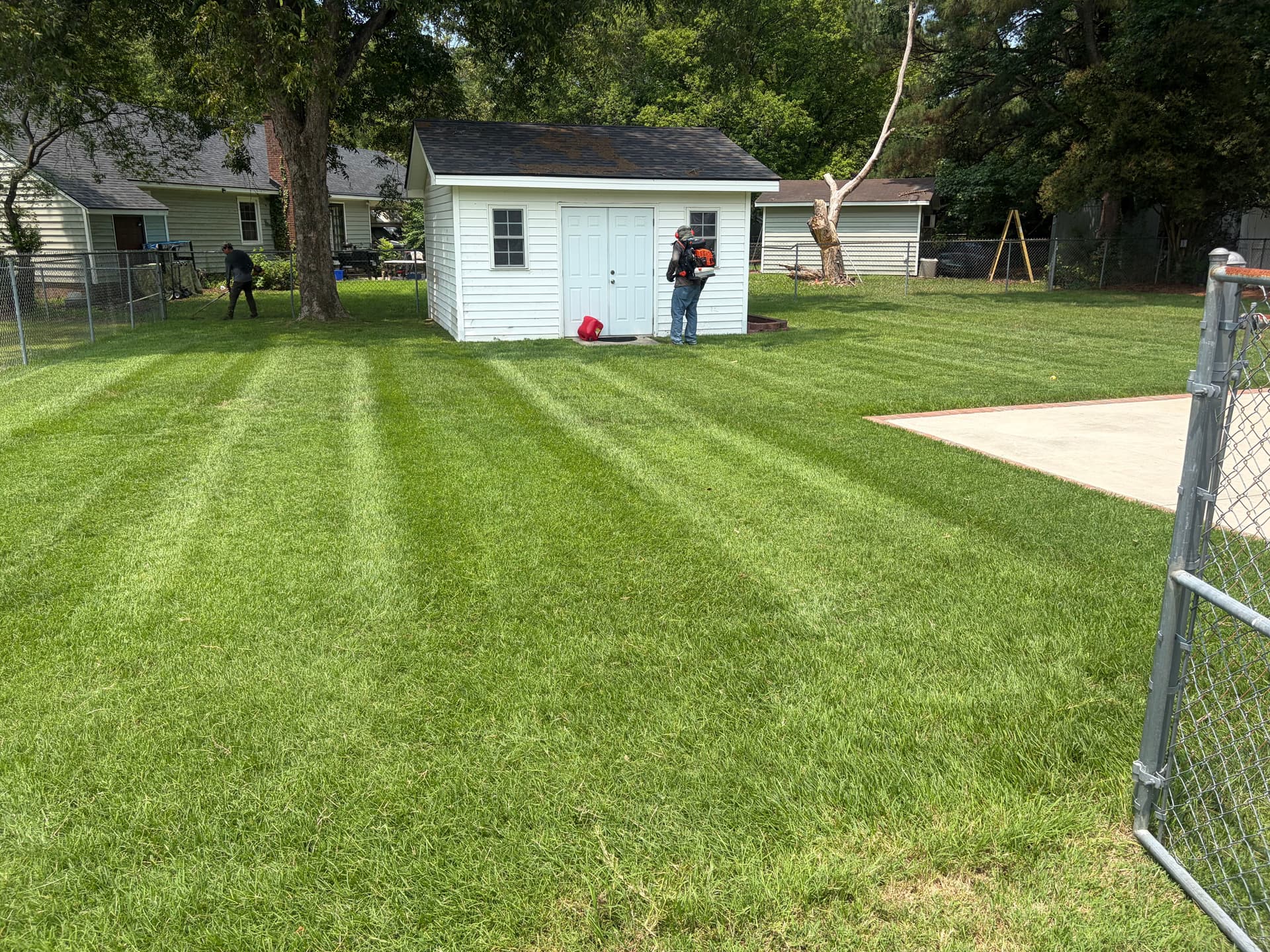 Gallery photos for Clean Stripes and a Sharp Finish on These Lawns: Image #1