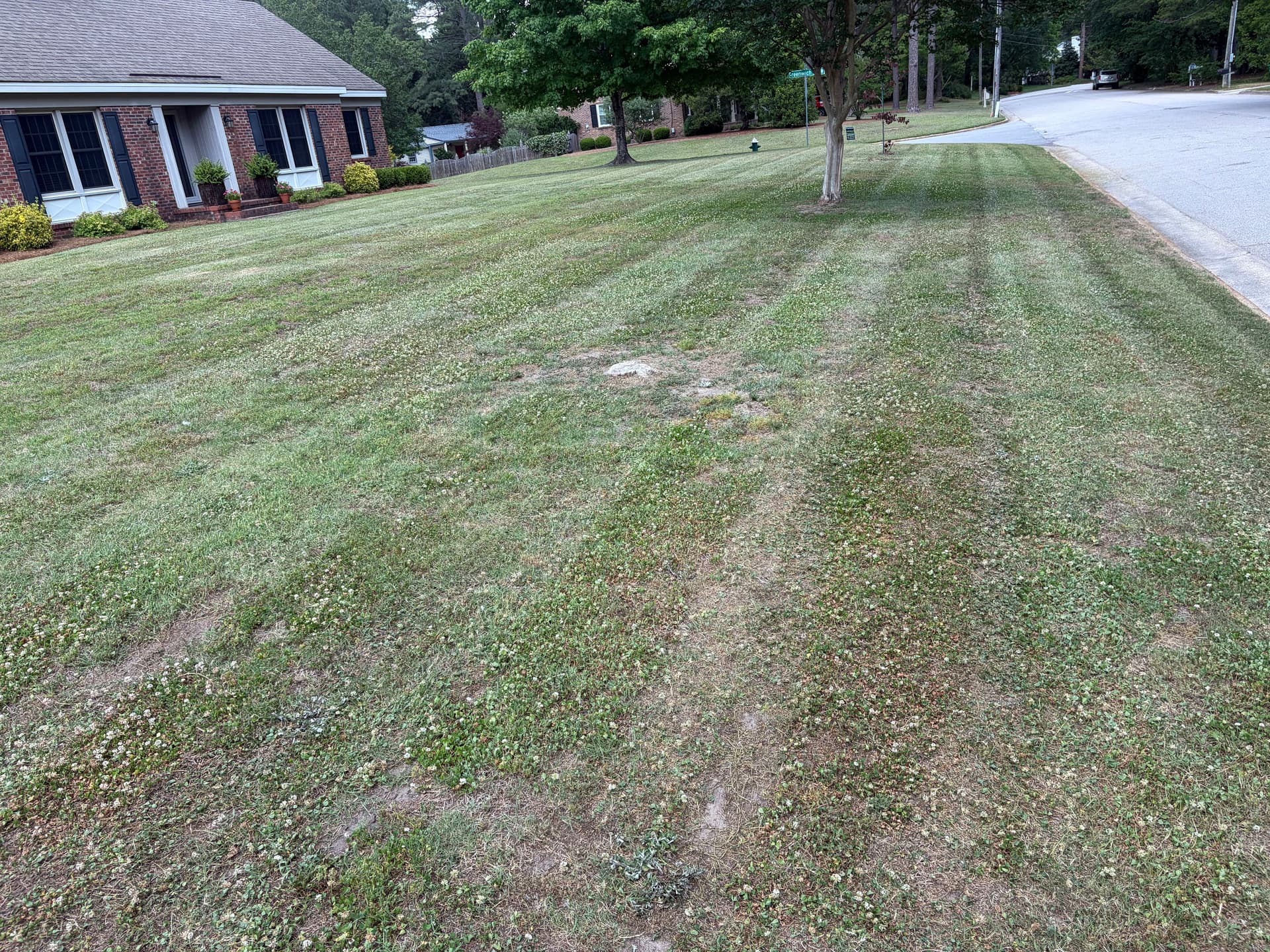 Gallery photos for Clean Mowing Stripes That Make Any Yard Stand Out: Image #2