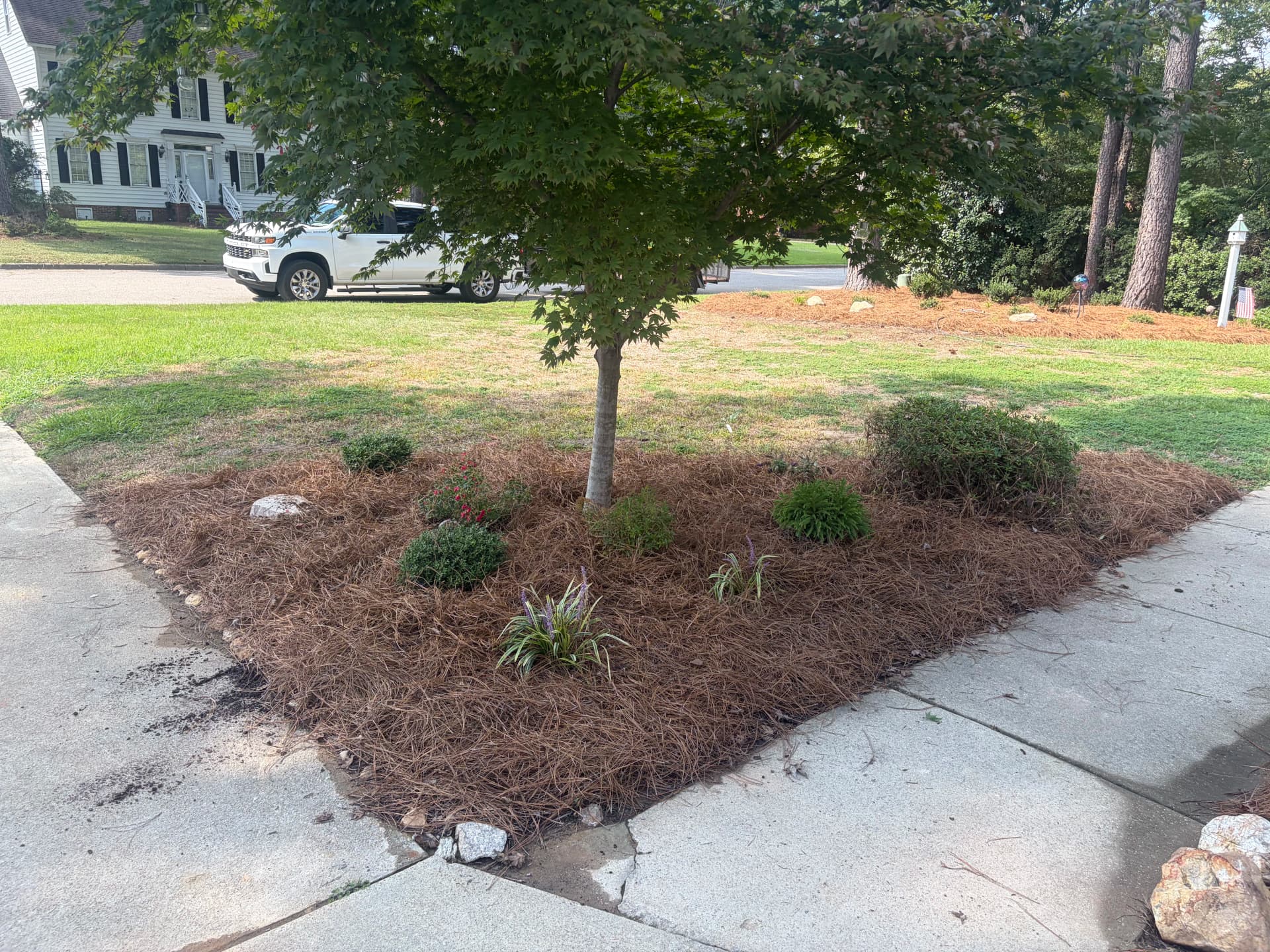 Gallery photos for Bed Redesign, Shrub Planting, and Pine Straw Installation at 3209: Image #5