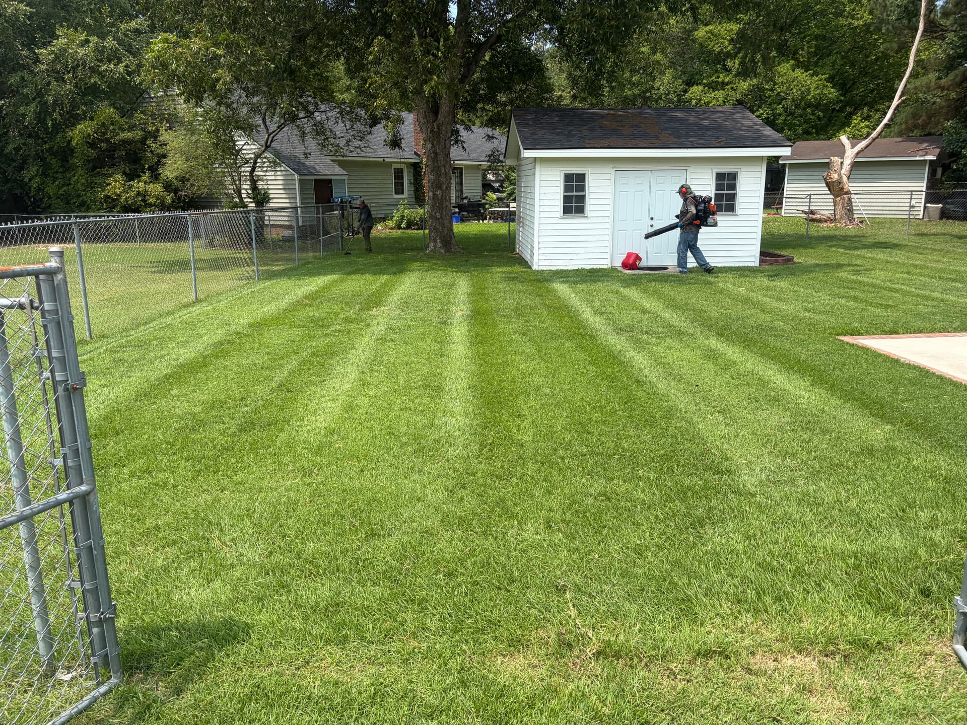 Clean Stripes and a Sharp Finish on These Lawns image
