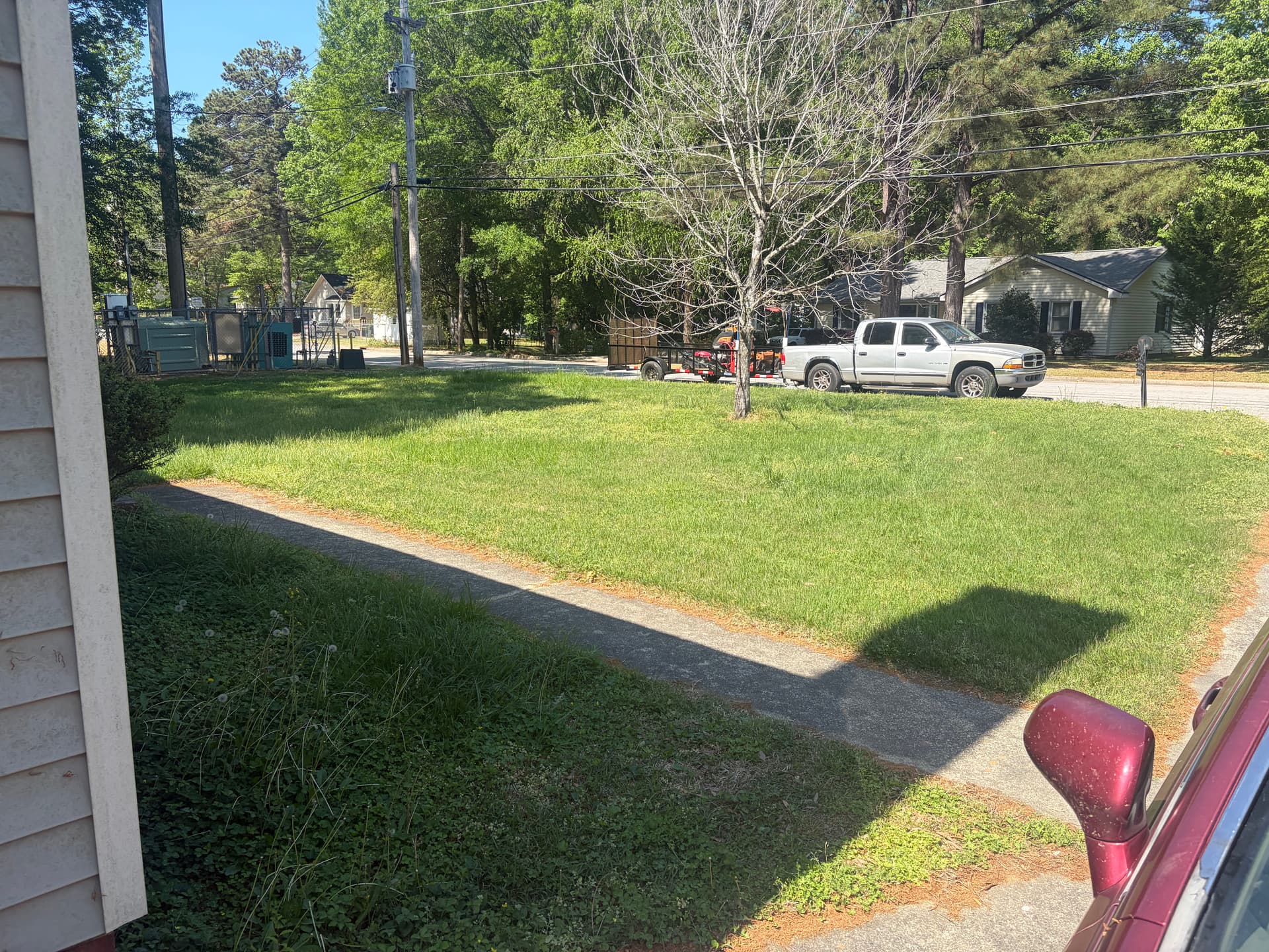 Gallery photos for Overgrown Wilson Yard Gets a Full Cleanup and Cut: Image #1